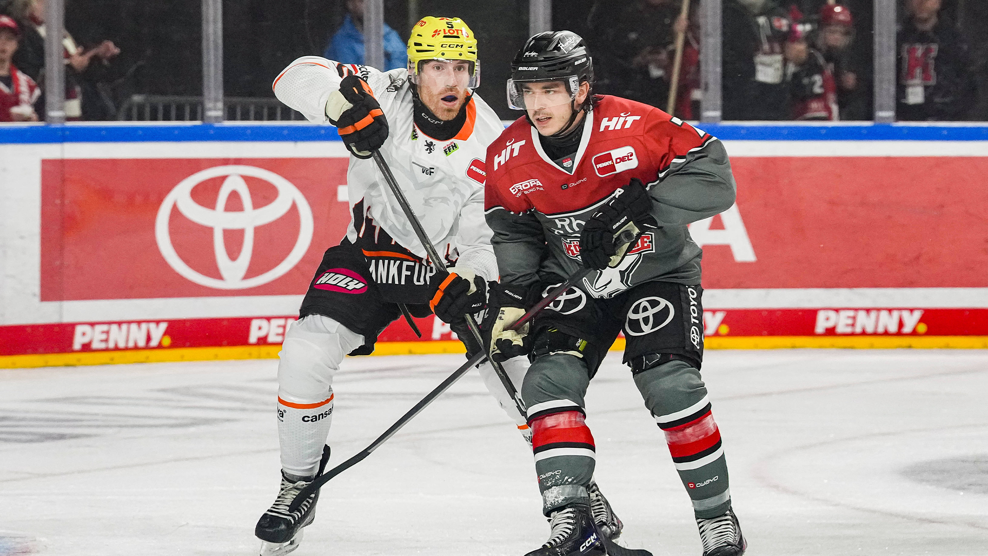 Kölner Haie gg. Löwen Frankfurt